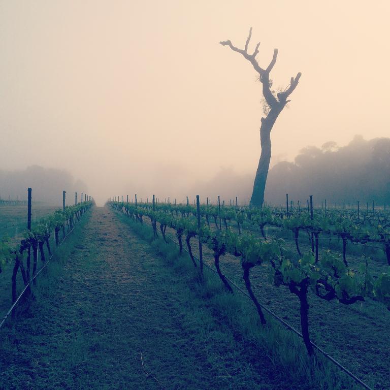 Island Brook Estate Winery And Chalets Margaret River Zewnętrze zdjęcie